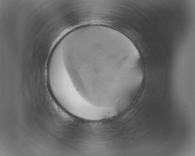 X0000076301428200610201532