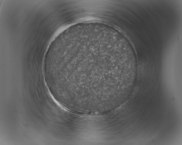 X0000076301429200610201532