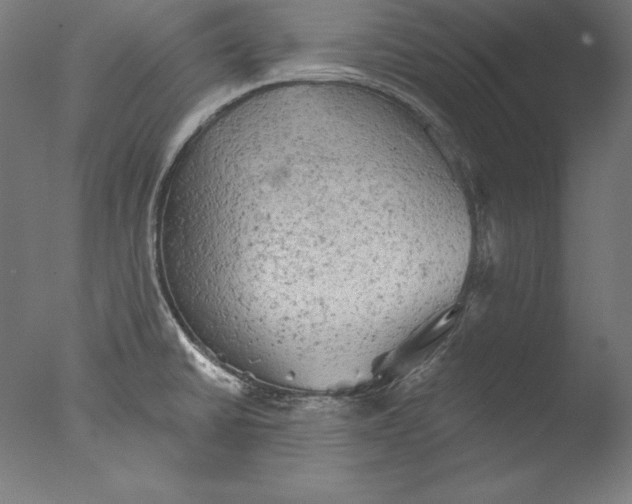 X0000076301430200610201532