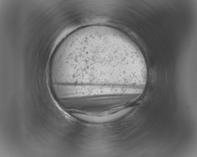 X0000076301432200610201532