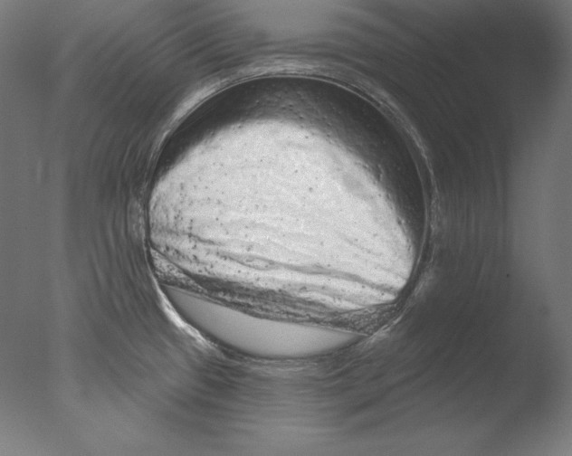 X0000076301433200610201532