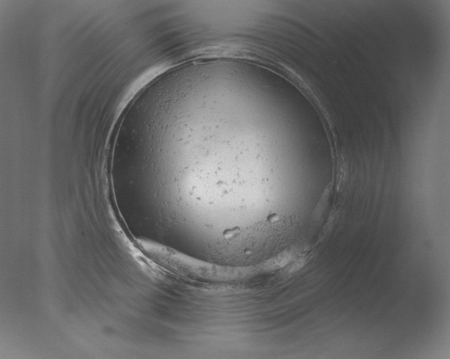 X0000076301434200610201532