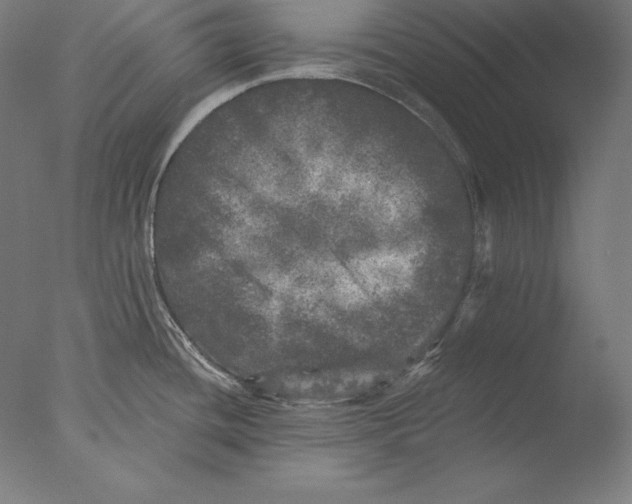 X0000076301436200610201532