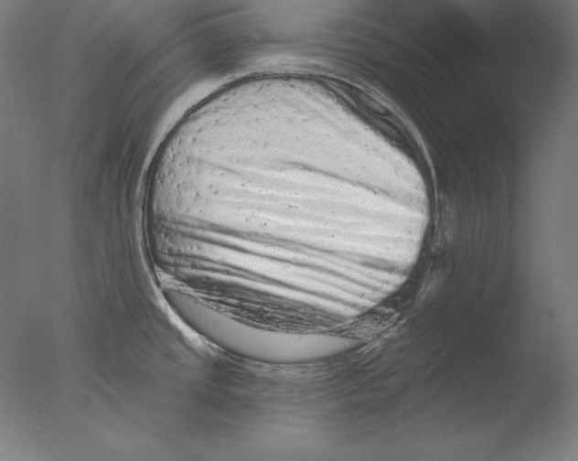 X0000076301437200610201532