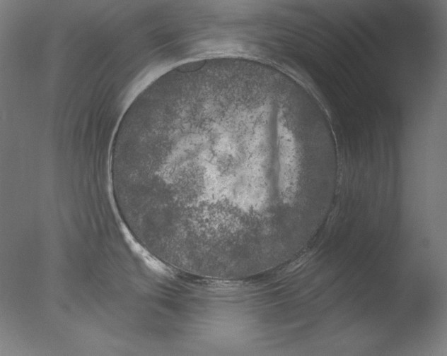 X0000076301439200610201532