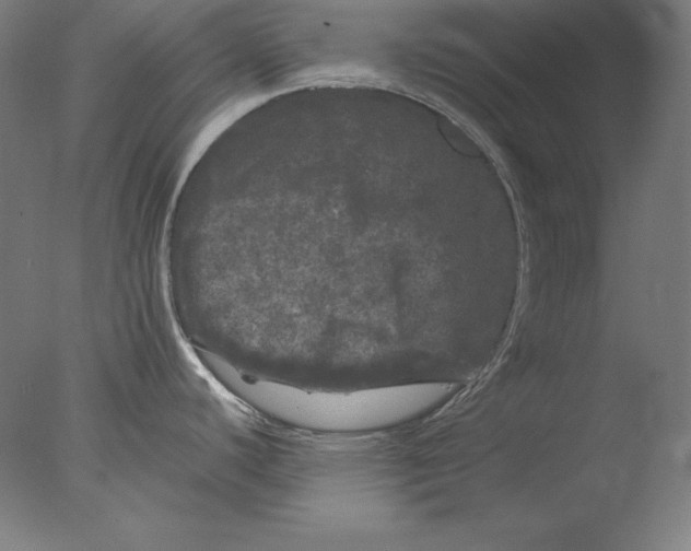 X0000076301440200610201532