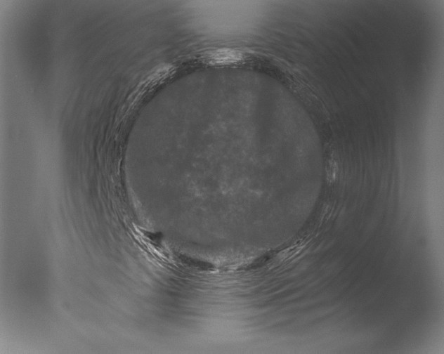 X0000076301441200610201531