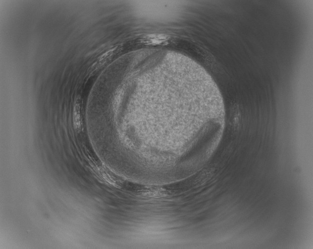 X0000076301442200610201531