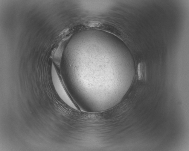 X0000076301443200610201531