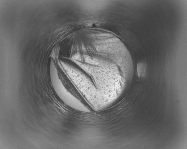 X0000076301444200610201531