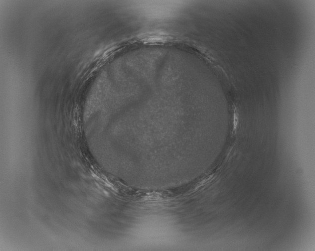 X0000076301445200610201531