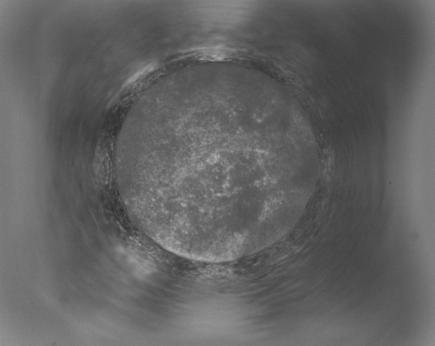 X0000076301446200610201531