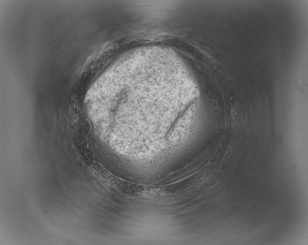 X0000076301447200610201531