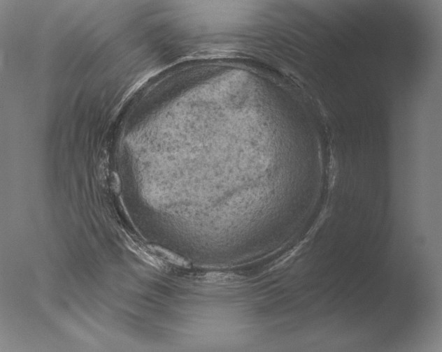 X0000076301449200610201531