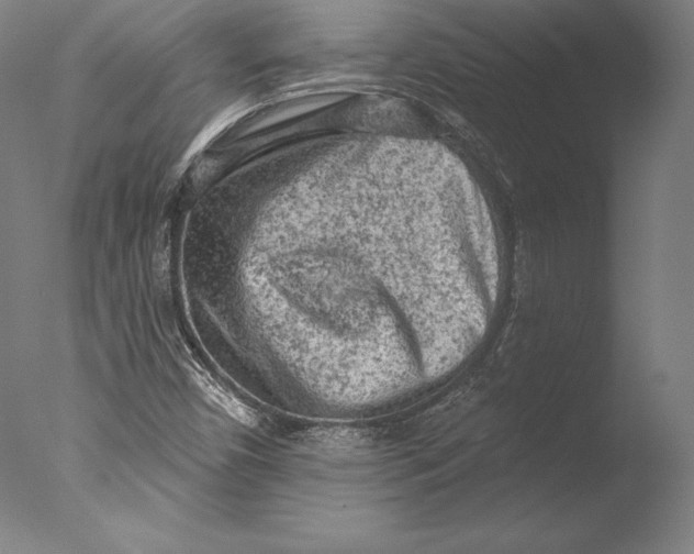 X0000076301450200610201531