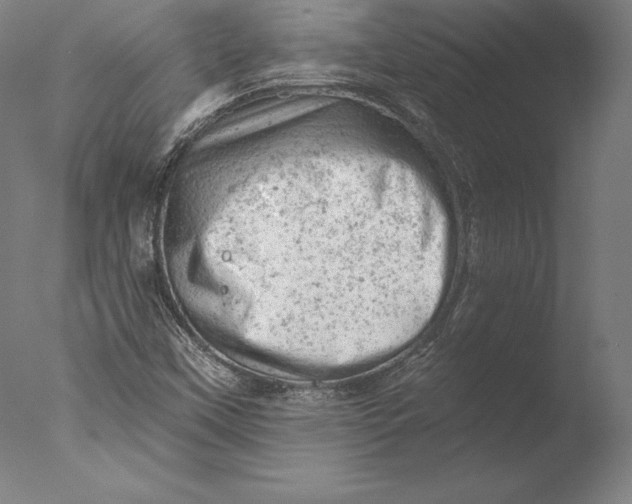 X0000076301451200610201531