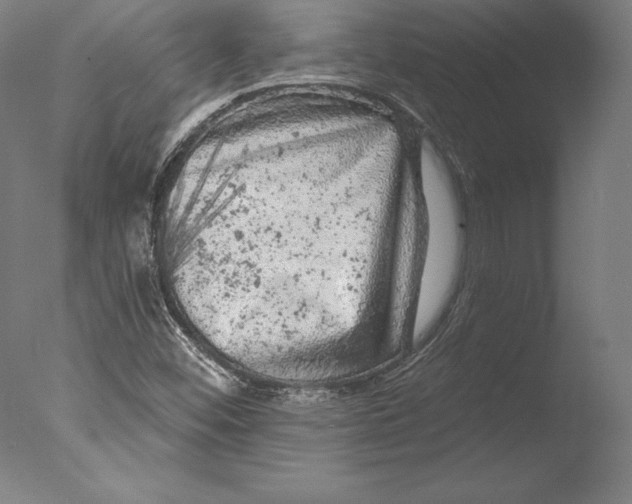 X0000076301452200610201531