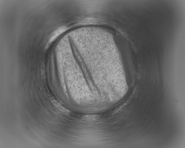 X0000076301453200610201531