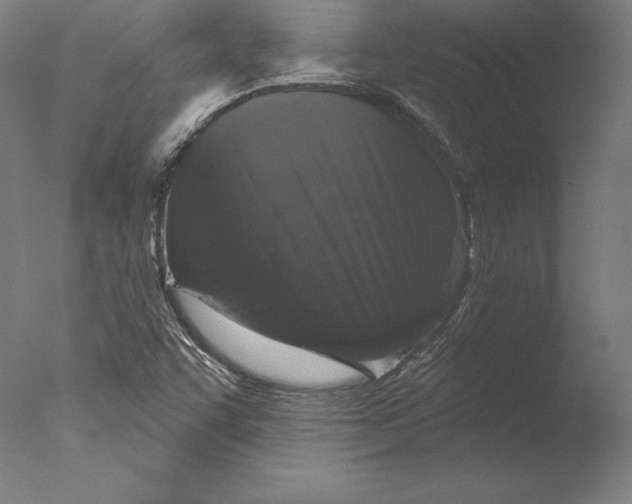 X0000076301455200610201531