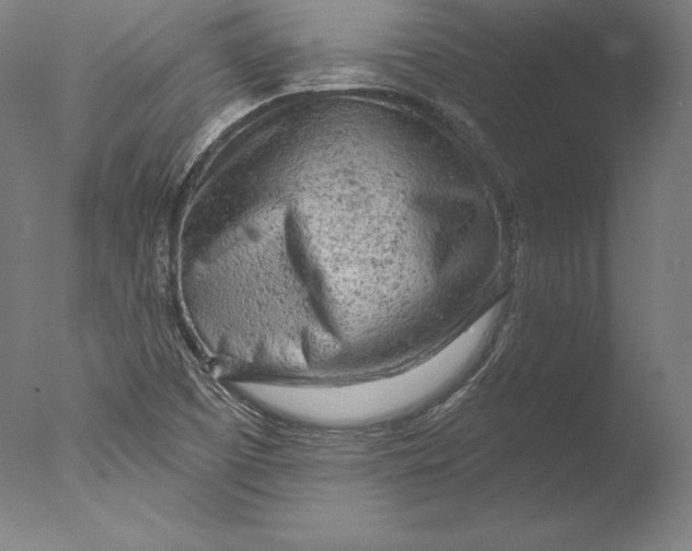 X0000076301457200610201531