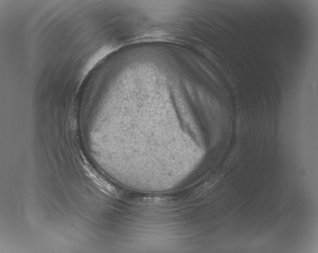 X0000076301458200610201531