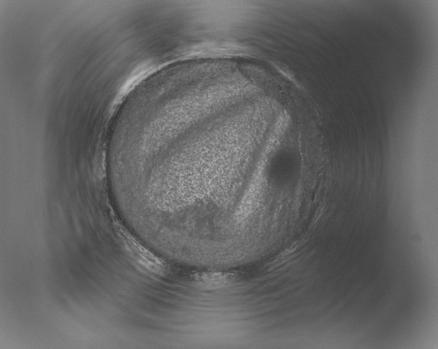 X0000076301459200610201531