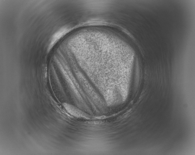 X0000076301461200610201531