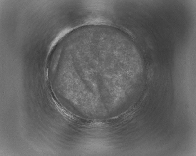 X0000076301462200610201531