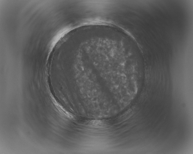 X0000076301463200610201531