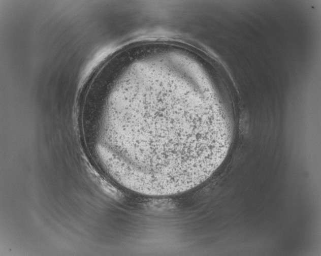 X0000076301464200610201531