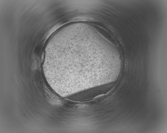 X0000076301465200610201531