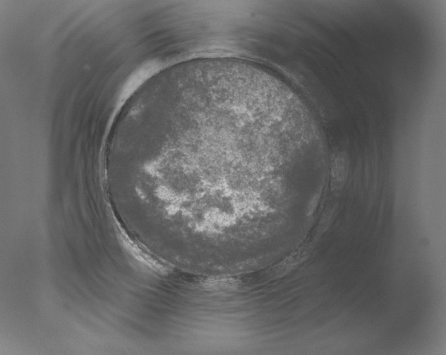 X0000076301466200610201531