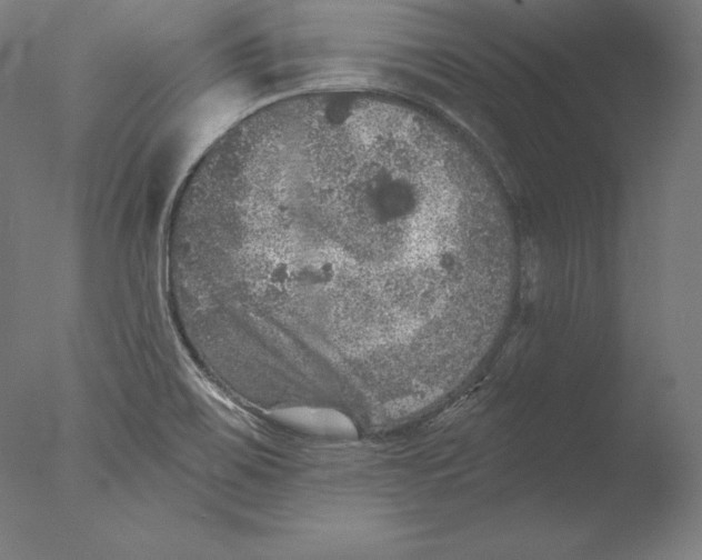 X0000076301467200610201531