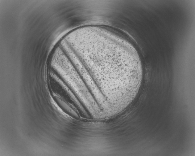 X0000076301468200610201531