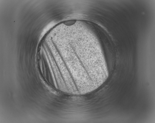 X0000076301469200610201531