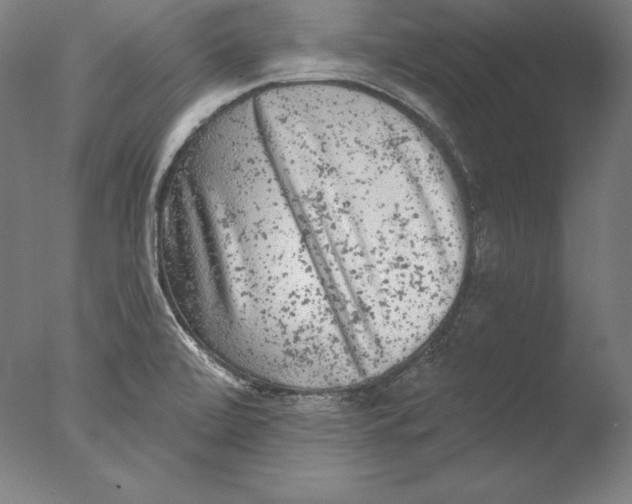 X0000076301472200610201531