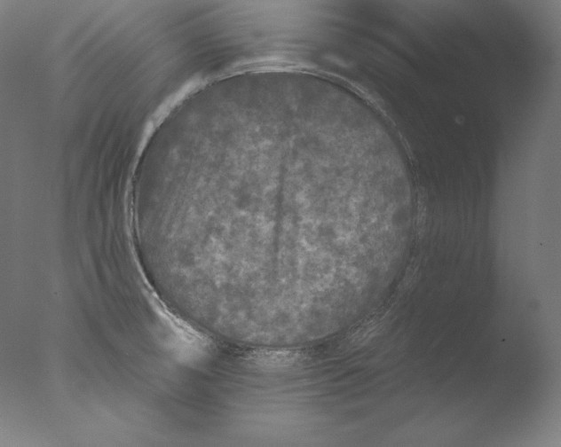 X0000076301474200610201531