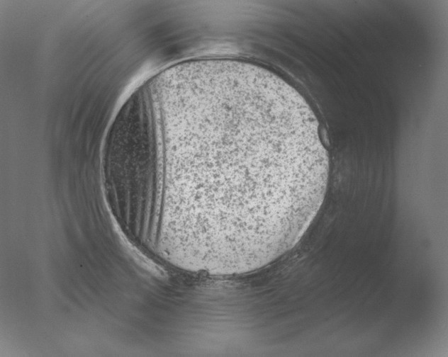 X0000076301475200610201531