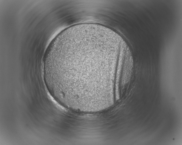 X0000076301476200610201531