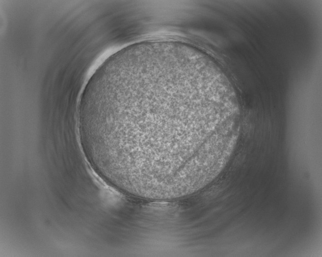 X0000076301478200610201531