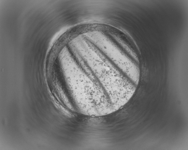 X0000076301480200610201531