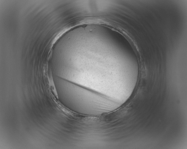 X0000076301481200610201531