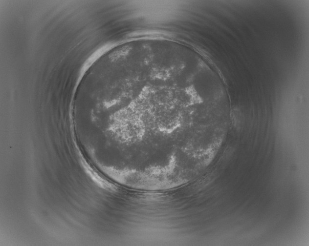 X0000076301482200610201531