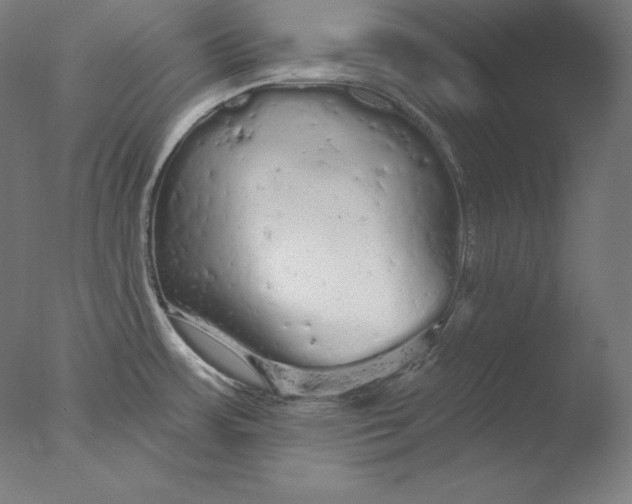 X0000076301483200610201531