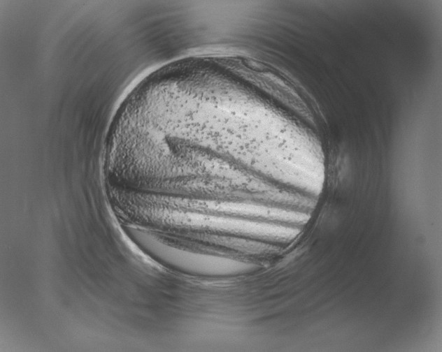 X0000076301484200610201531