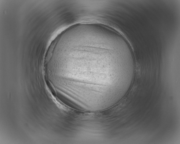 X0000076301485200610201531