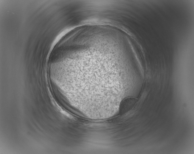 X0000076301486200610201531