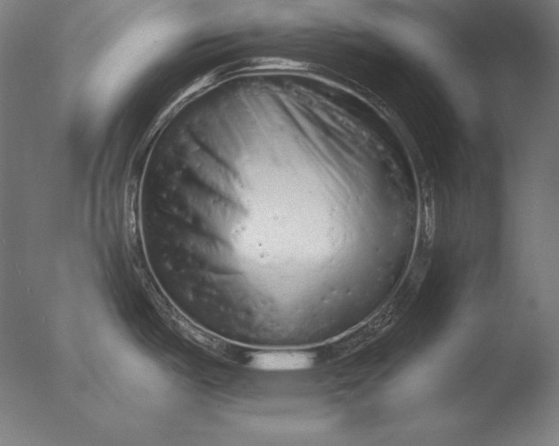 X0000076301487200610201531