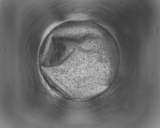 X0000076301488200610201531