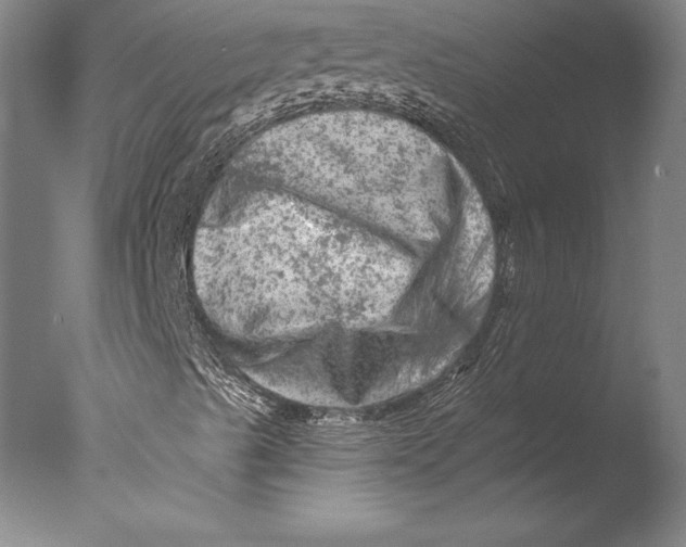 X0000076301489200610201530